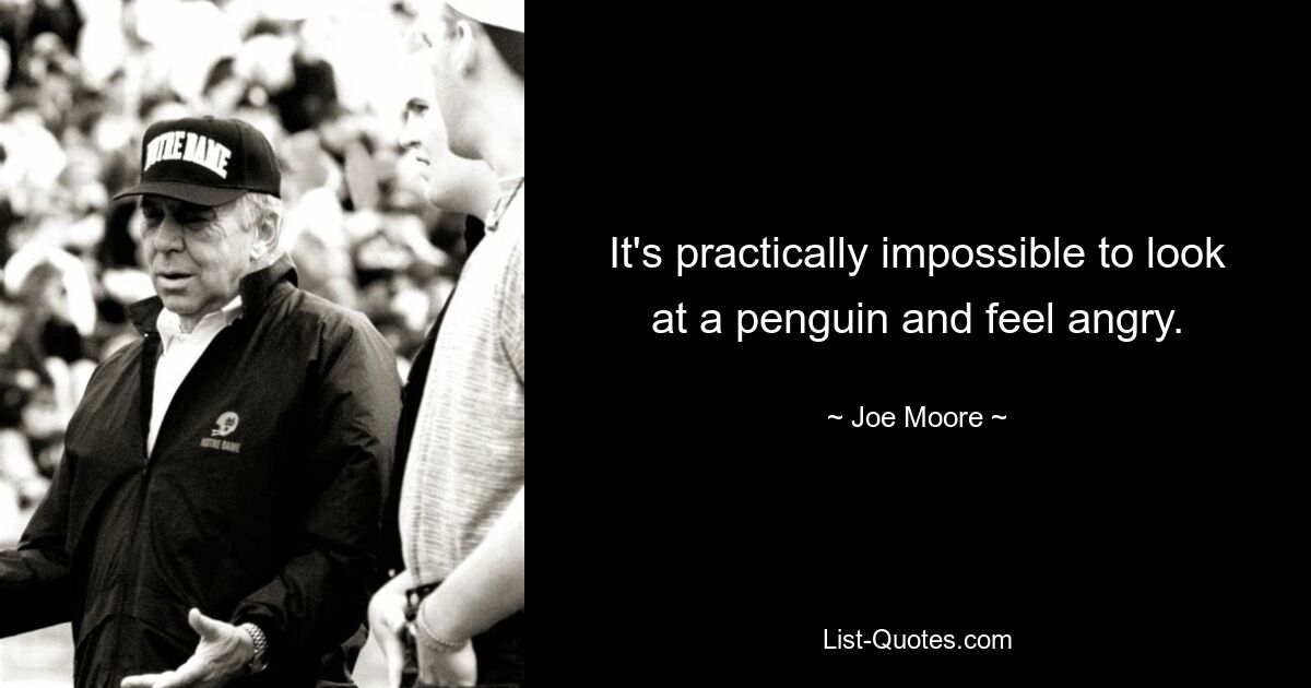 It's practically impossible to look at a penguin and feel angry. — © Joe Moore