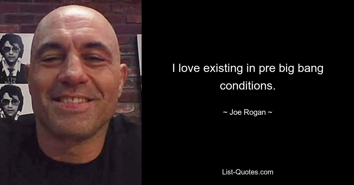 I love existing in pre big bang conditions. — © Joe Rogan