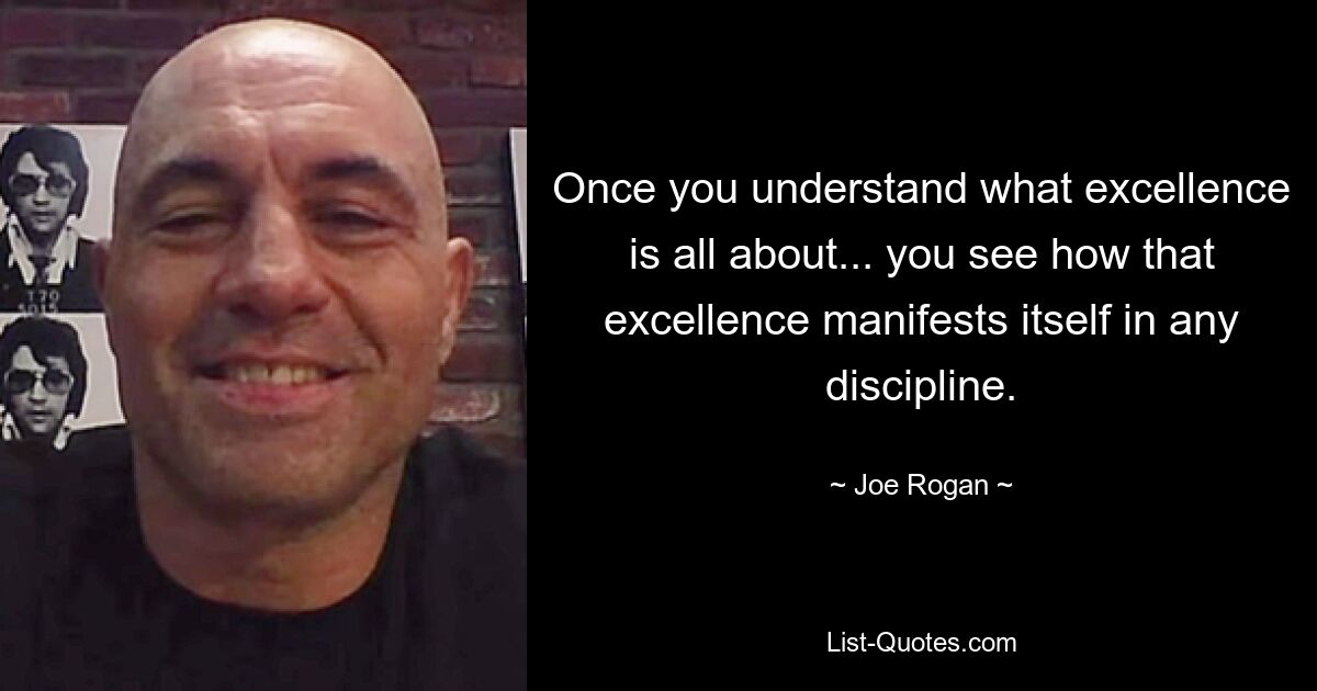 Once you understand what excellence is all about... you see how that excellence manifests itself in any discipline. — © Joe Rogan