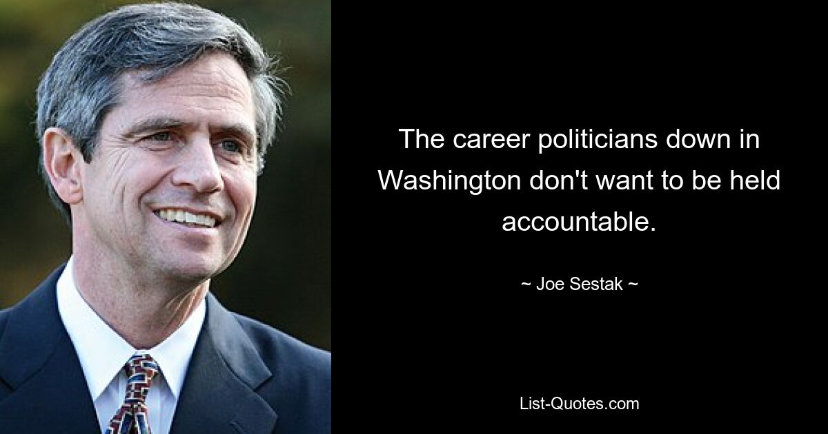 The career politicians down in Washington don't want to be held accountable. — © Joe Sestak