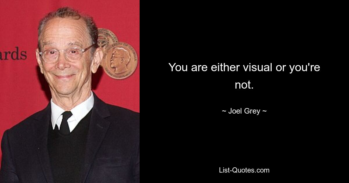 You are either visual or you're not. — © Joel Grey