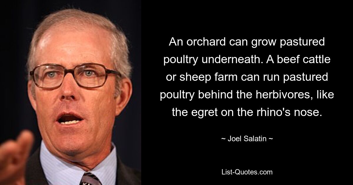 An orchard can grow pastured poultry underneath. A beef cattle or sheep farm can run pastured poultry behind the herbivores, like the egret on the rhino's nose. — © Joel Salatin