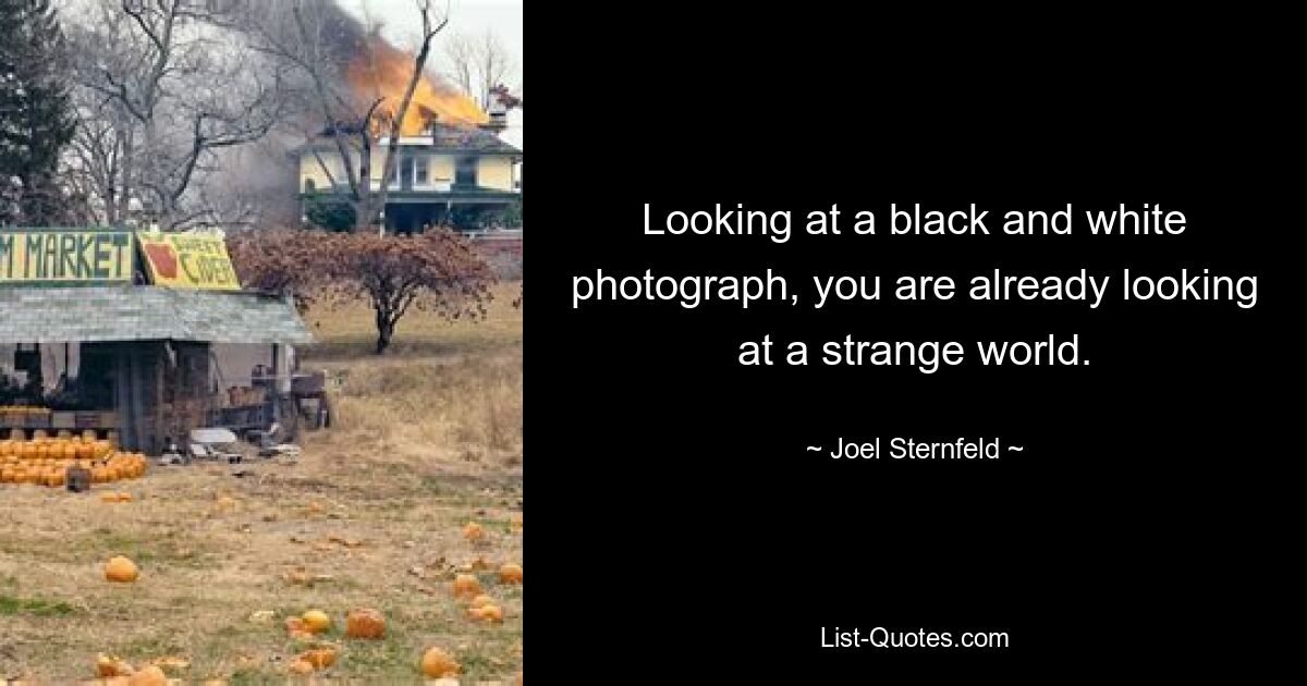 Looking at a black and white photograph, you are already looking at a strange world. — © Joel Sternfeld