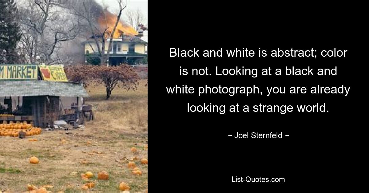 Black and white is abstract; color is not. Looking at a black and white photograph, you are already looking at a strange world. — © Joel Sternfeld