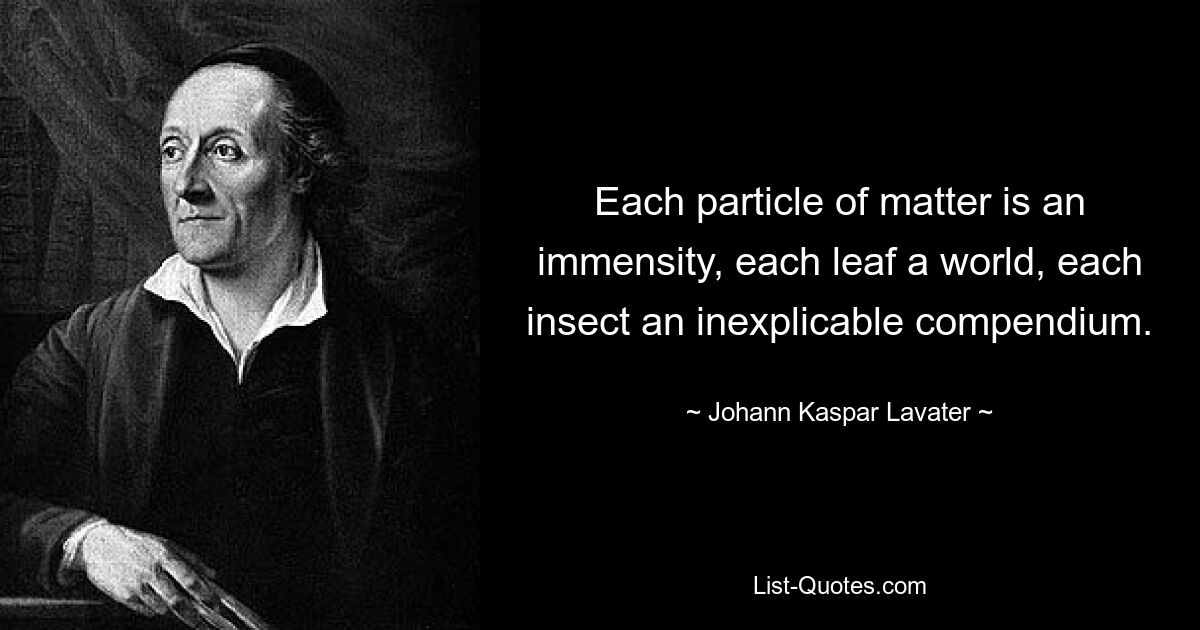 Each particle of matter is an immensity, each leaf a world, each insect an inexplicable compendium. — © Johann Kaspar Lavater