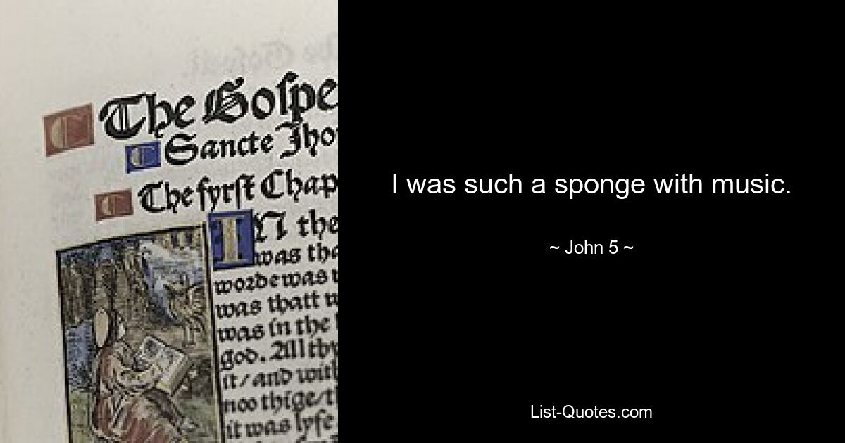 I was such a sponge with music. — © John 5