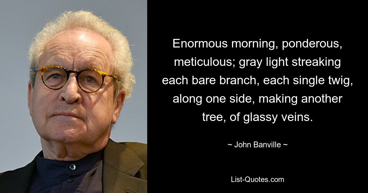 Enormous morning, ponderous, meticulous; gray light streaking each bare branch, each single twig, along one side, making another tree, of glassy veins. — © John Banville