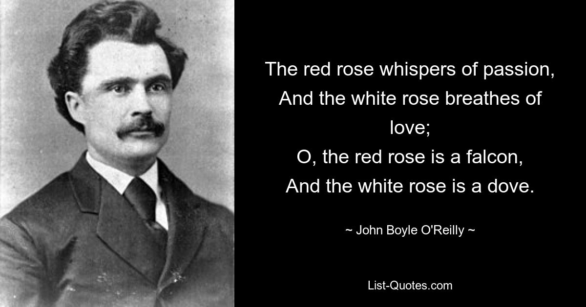 The red rose whispers of passion,
And the white rose breathes of love;
O, the red rose is a falcon,
And the white rose is a dove. — © John Boyle O'Reilly