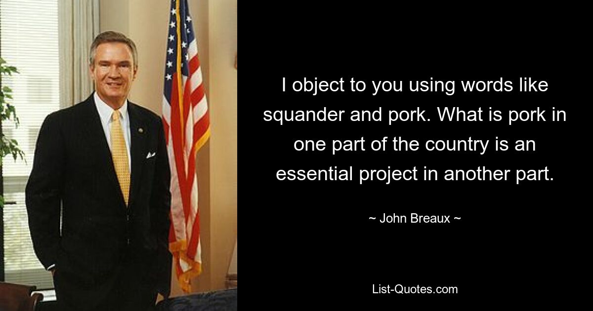 I object to you using words like squander and pork. What is pork in one part of the country is an essential project in another part. — © John Breaux