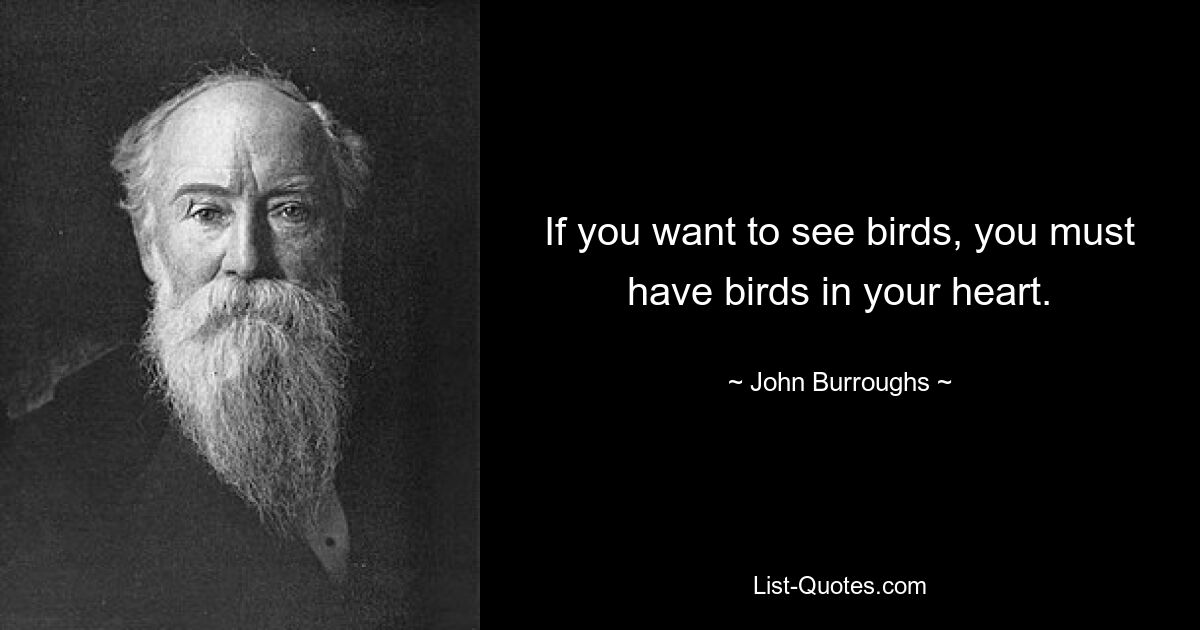 If you want to see birds, you must have birds in your heart. — © John Burroughs