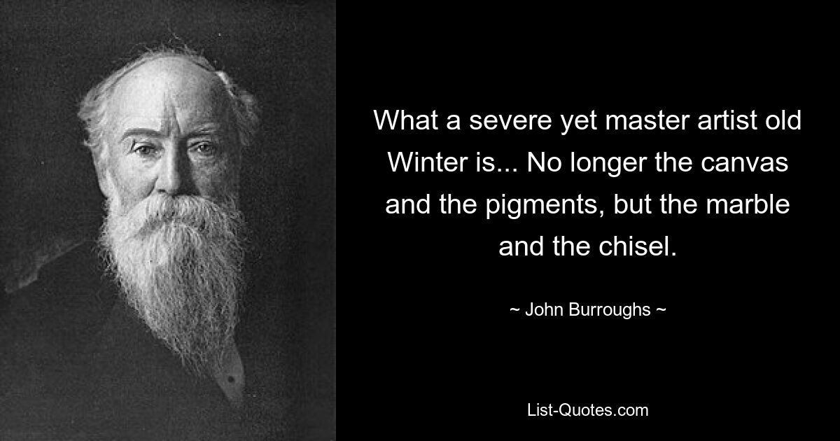 What a severe yet master artist old Winter is... No longer the canvas and the pigments, but the marble and the chisel. — © John Burroughs