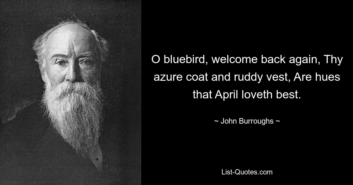 O bluebird, welcome back again, Thy azure coat and ruddy vest, Are hues that April loveth best. — © John Burroughs