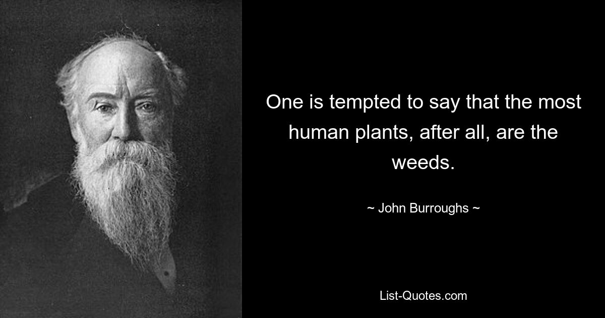 One is tempted to say that the most human plants, after all, are the weeds. — © John Burroughs