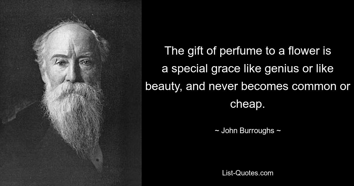 The gift of perfume to a flower is a special grace like genius or like beauty, and never becomes common or cheap. — © John Burroughs