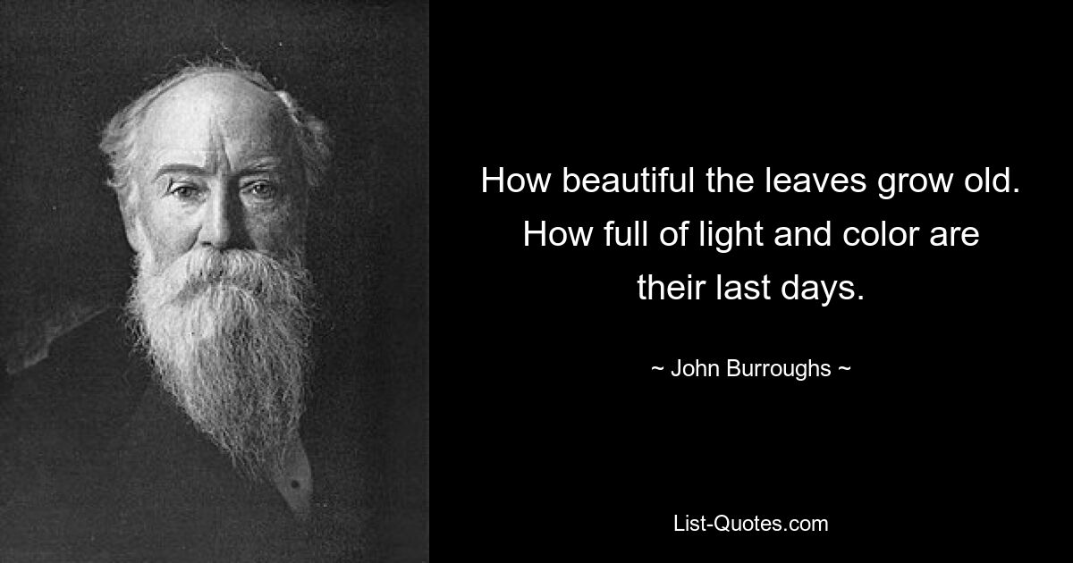 How beautiful the leaves grow old. How full of light and color are their last days. — © John Burroughs