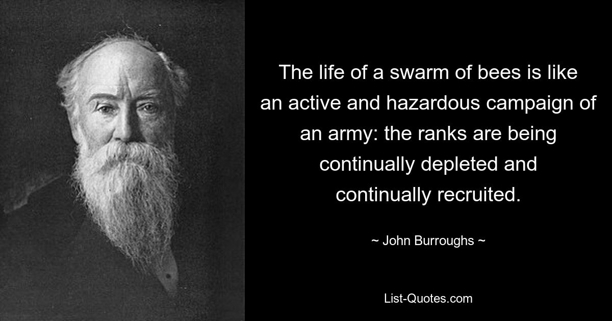 Жизнь пчелиного роя подобна активному и опасному походу армии: ее ряды то пополняются, то пополняются. — © Джон Берроуз 