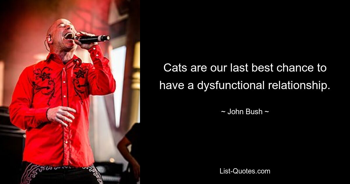 Cats are our last best chance to have a dysfunctional relationship. — © John Bush