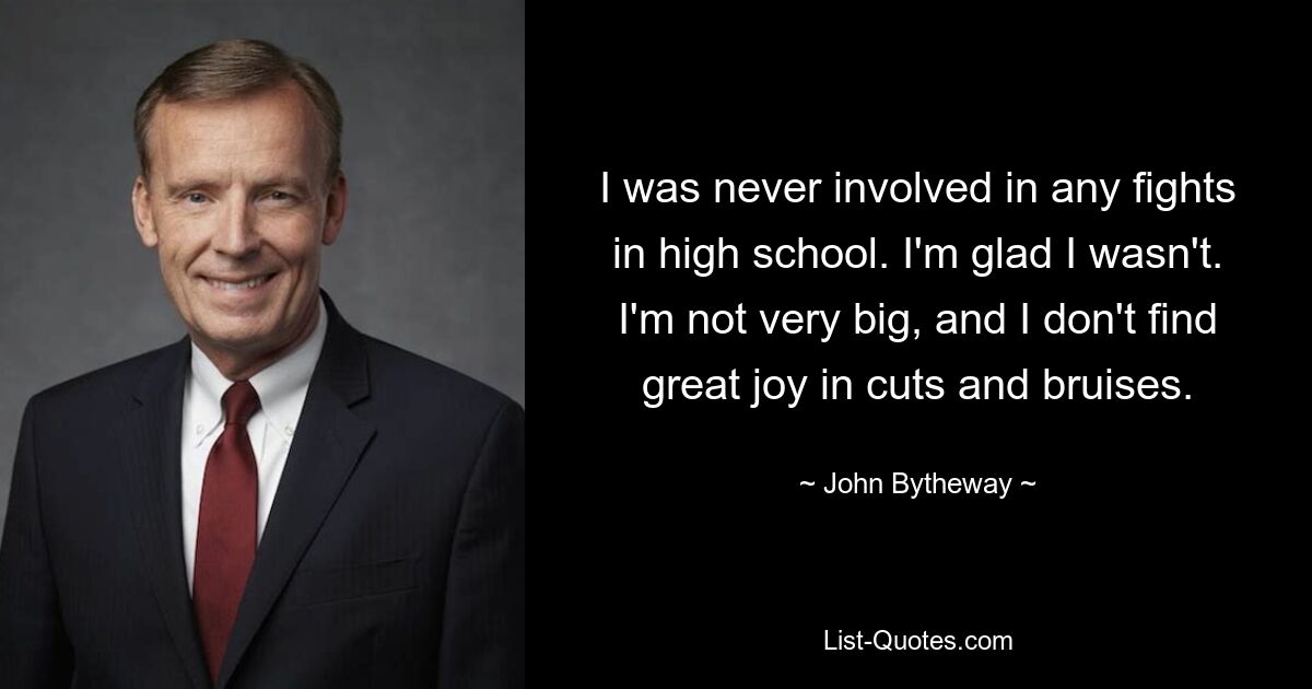 I was never involved in any fights in high school. I'm glad I wasn't. I'm not very big, and I don't find great joy in cuts and bruises. — © John Bytheway