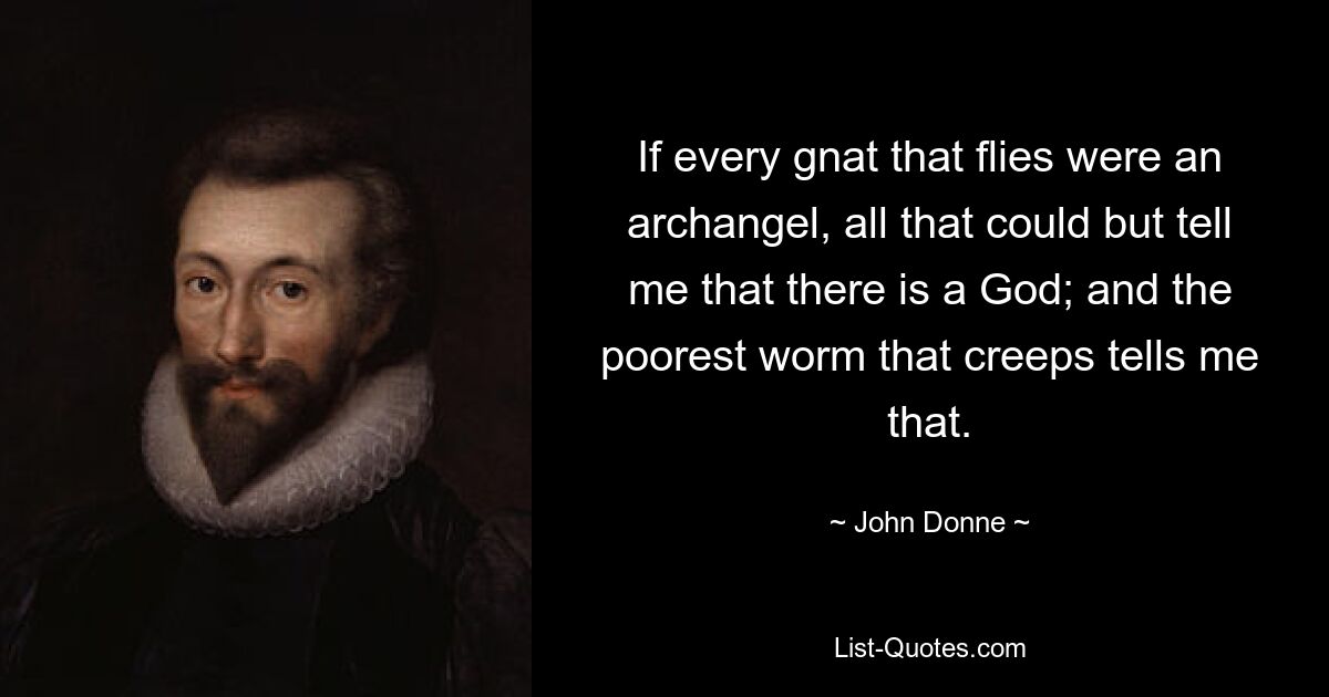 If every gnat that flies were an archangel, all that could but tell me that there is a God; and the poorest worm that creeps tells me that. — © John Donne