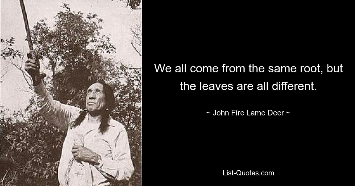 We all come from the same root, but the leaves are all different. — © John Fire Lame Deer