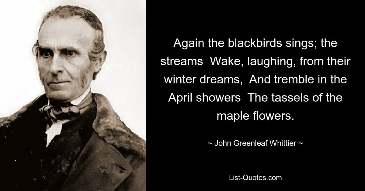 Again the blackbirds sings; the streams  Wake, laughing, from their winter dreams,  And tremble in the April showers  The tassels of the maple flowers. — © John Greenleaf Whittier