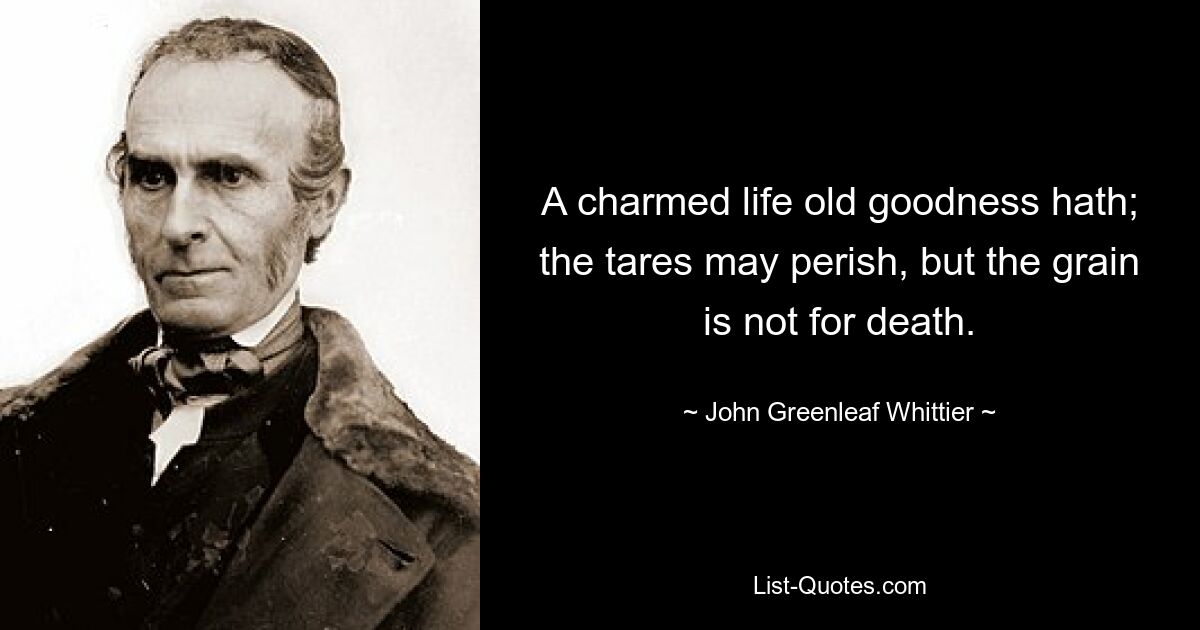 A charmed life old goodness hath; the tares may perish, but the grain is not for death. — © John Greenleaf Whittier