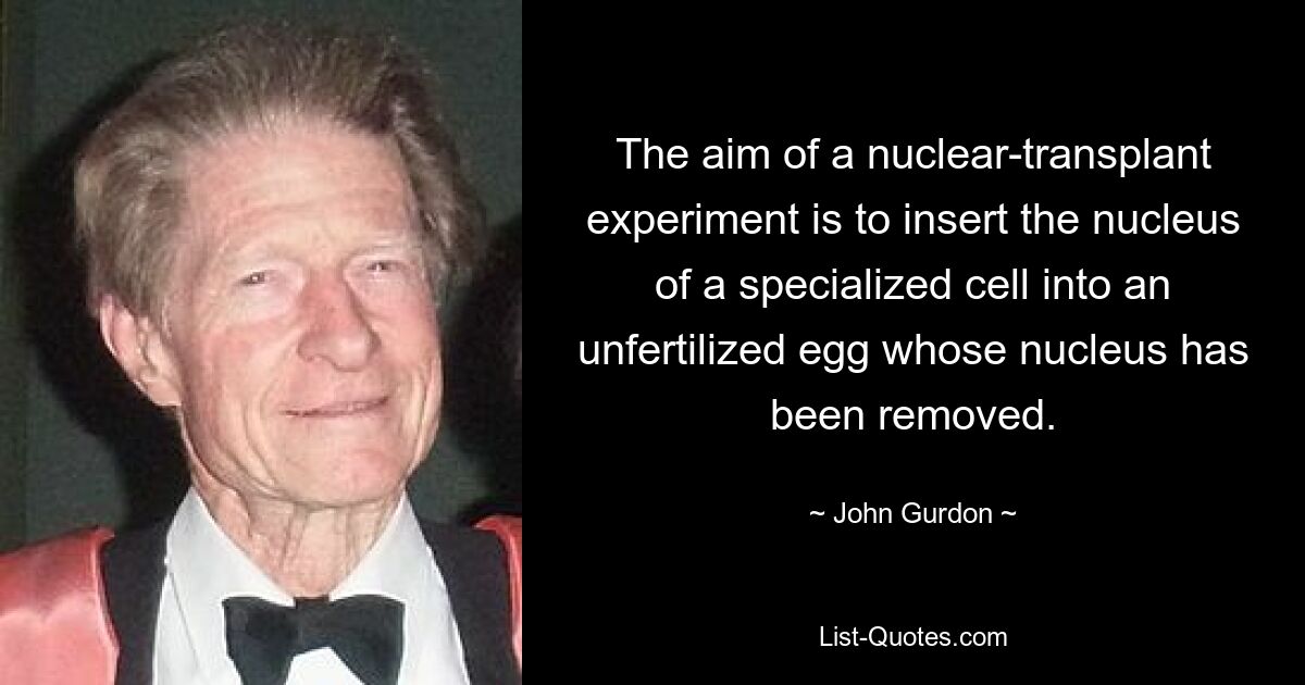 The aim of a nuclear-transplant experiment is to insert the nucleus of a specialized cell into an unfertilized egg whose nucleus has been removed. — © John Gurdon