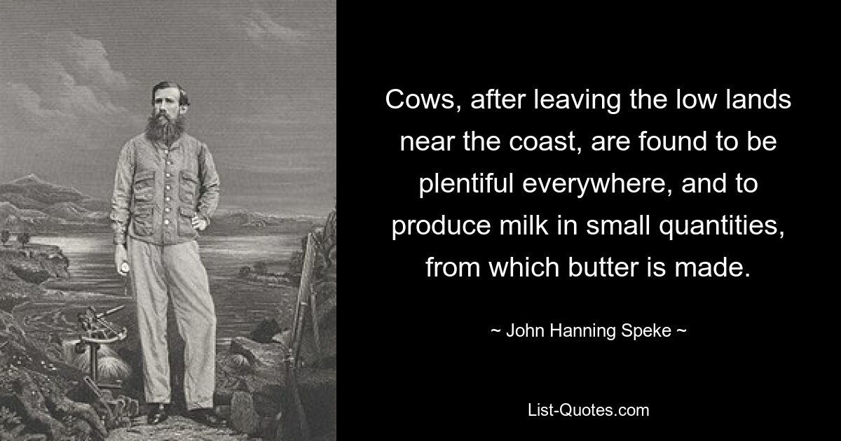 Cows, after leaving the low lands near the coast, are found to be plentiful everywhere, and to produce milk in small quantities, from which butter is made. — © John Hanning Speke