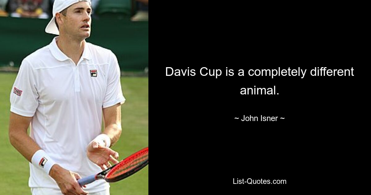 Davis Cup is a completely different animal. — © John Isner