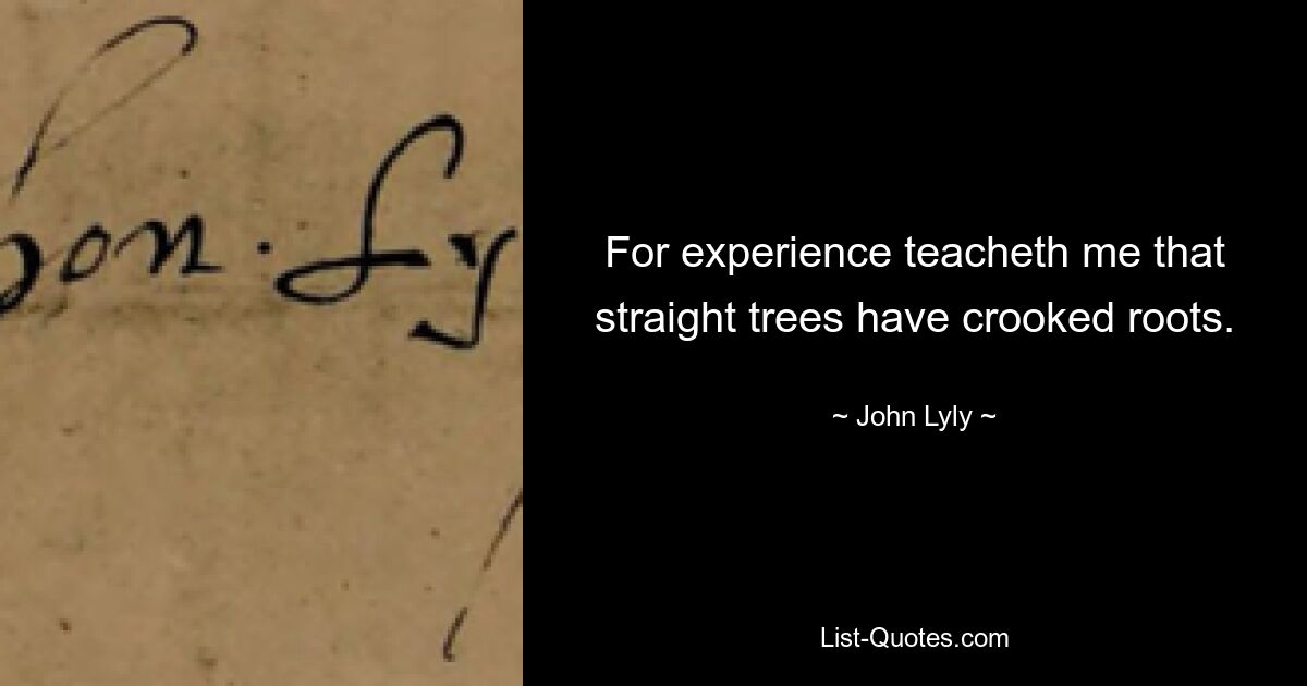 For experience teacheth me that straight trees have crooked roots. — © John Lyly