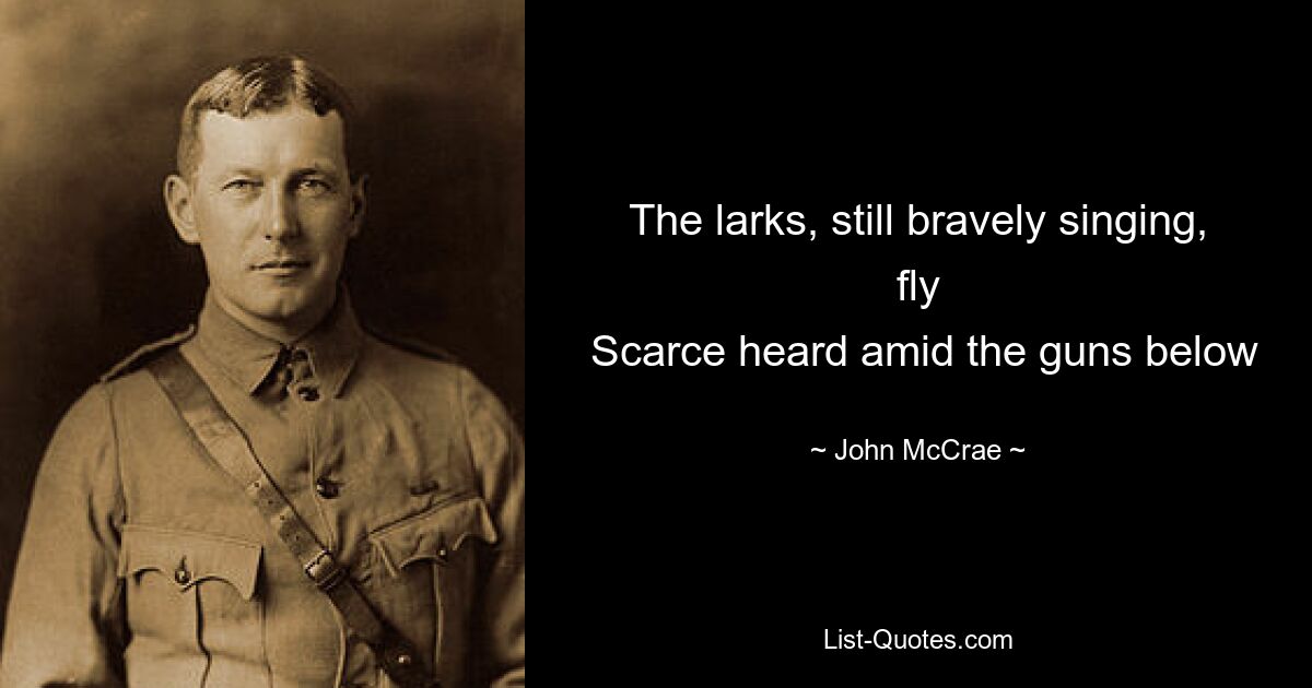 The larks, still bravely singing, fly
 Scarce heard amid the guns below — © John McCrae