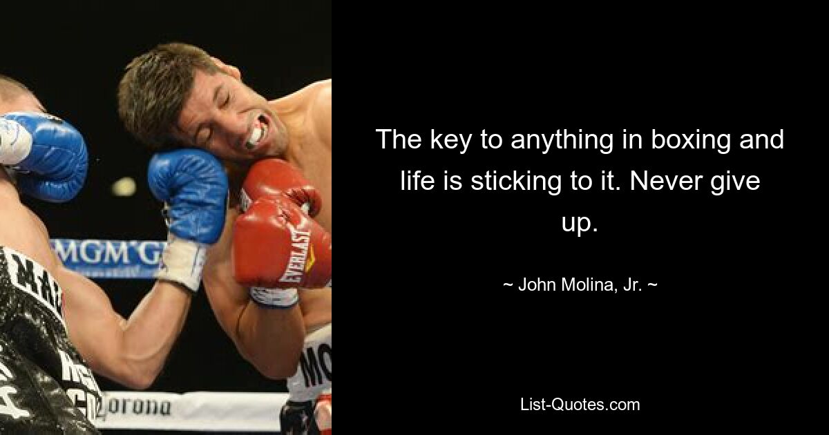 The key to anything in boxing and life is sticking to it. Never give up. — © John Molina, Jr.