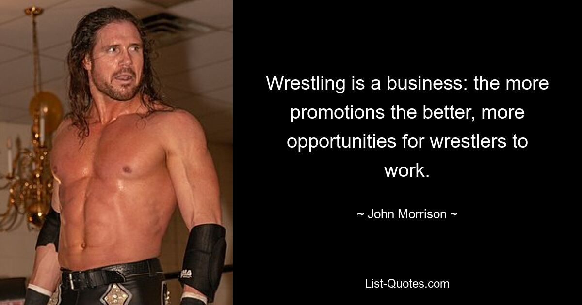 Wrestling is a business: the more promotions the better, more opportunities for wrestlers to work. — © John Morrison