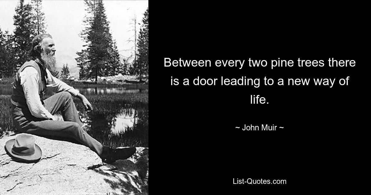 Between every two pine trees there is a door leading to a new way of life. — © John Muir