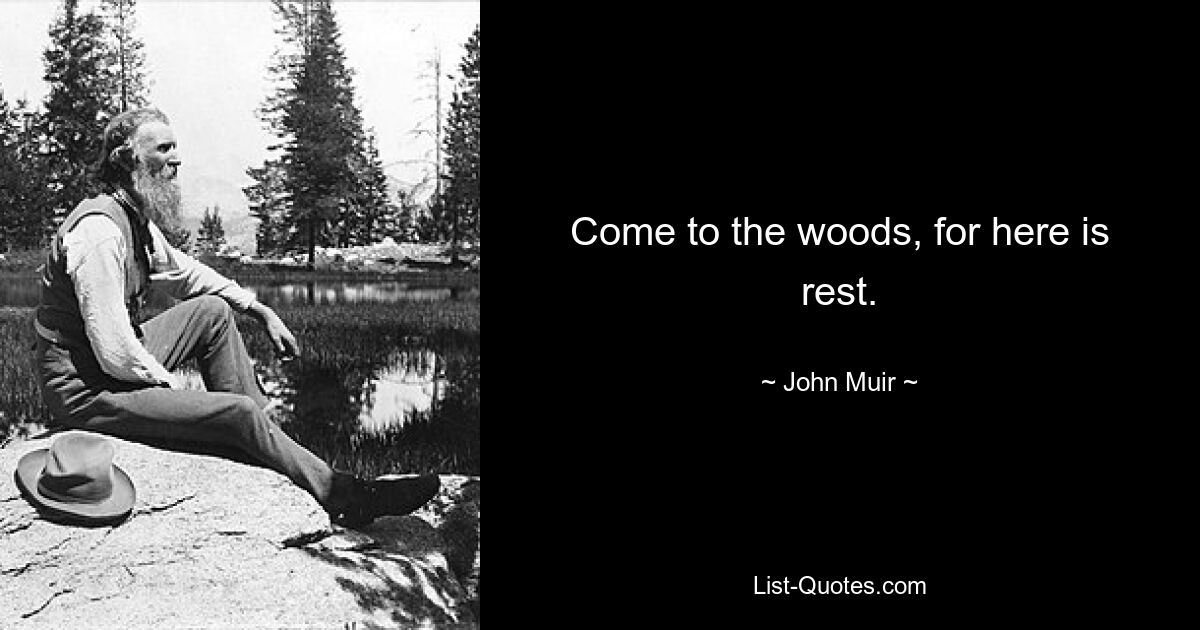 Come to the woods, for here is rest. — © John Muir