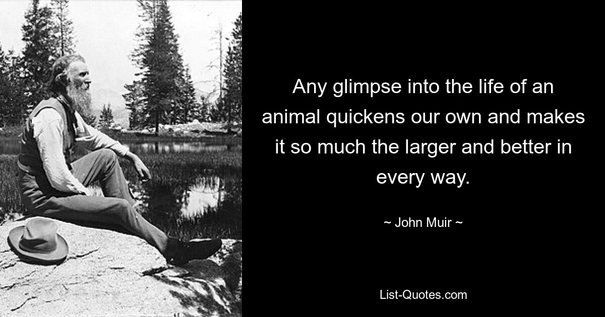 Any glimpse into the life of an animal quickens our own and makes it so much the larger and better in every way. — © John Muir