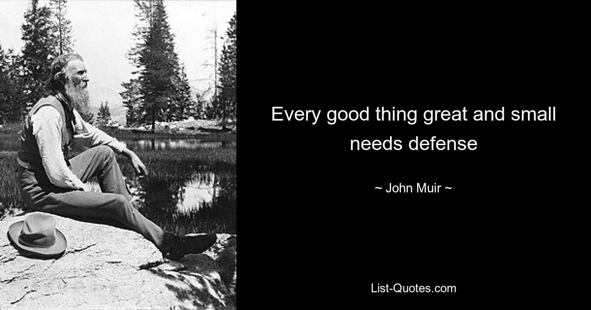 Every good thing great and small needs defense — © John Muir