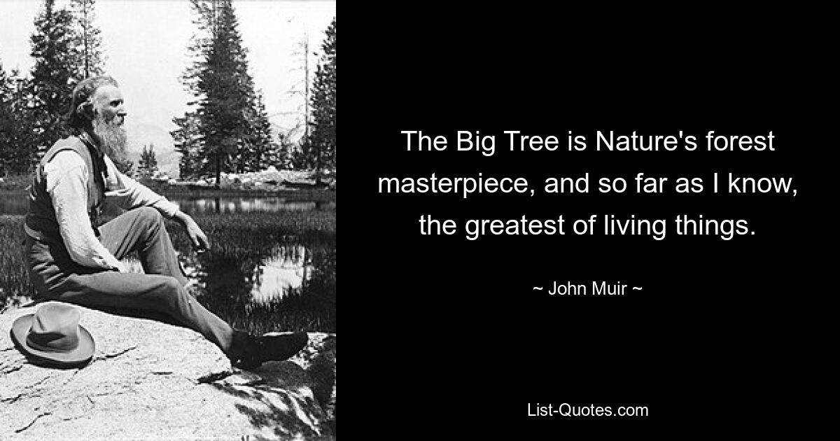 The Big Tree is Nature's forest masterpiece, and so far as I know, the greatest of living things. — © John Muir