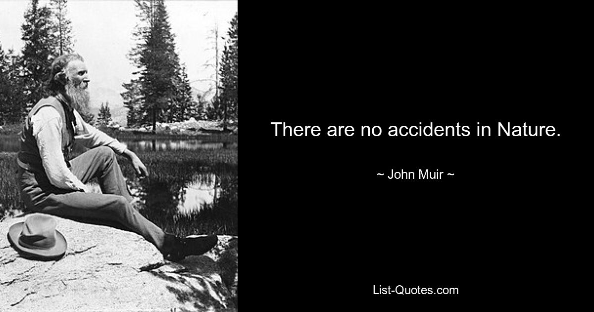 There are no accidents in Nature. — © John Muir