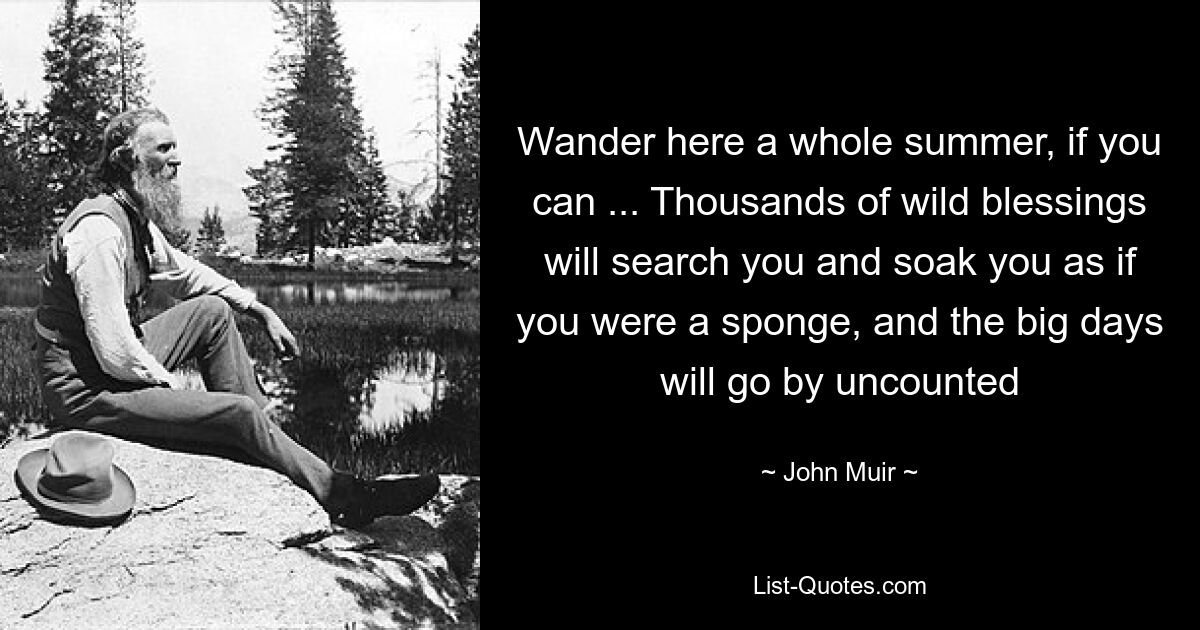 Wander here a whole summer, if you can ... Thousands of wild blessings will search you and soak you as if you were a sponge, and the big days will go by uncounted — © John Muir