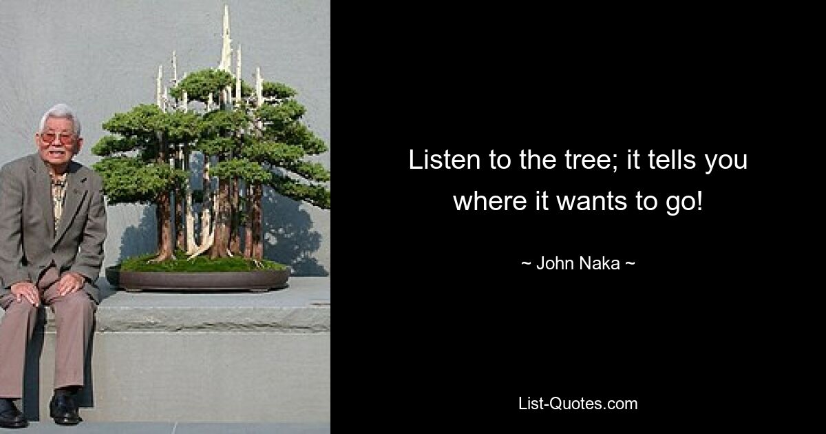 Listen to the tree; it tells you where it wants to go! — © John Naka