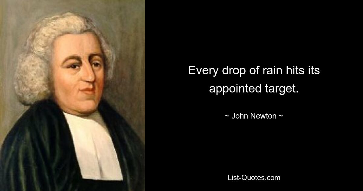 Every drop of rain hits its appointed target. — © John Newton