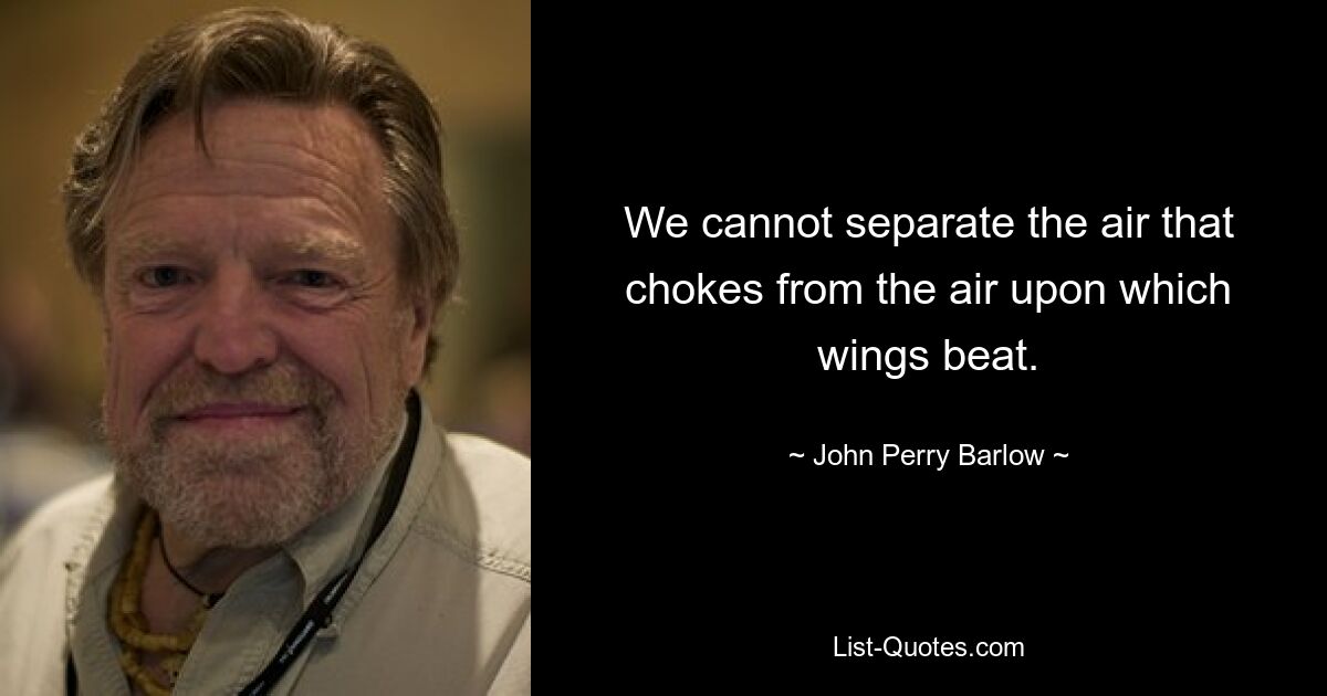 We cannot separate the air that chokes from the air upon which wings beat. — © John Perry Barlow