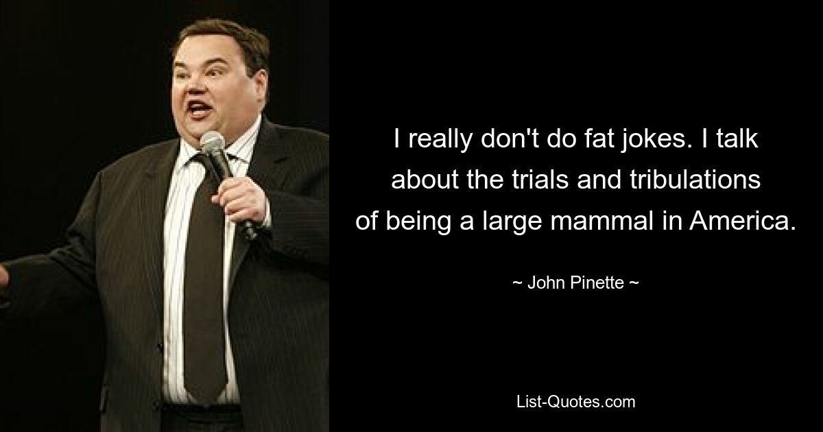 Ich mache wirklich keine fetten Witze. Ich spreche über die Strapazen und Schwierigkeiten, ein großes Säugetier in Amerika zu sein. — © John Pinette 