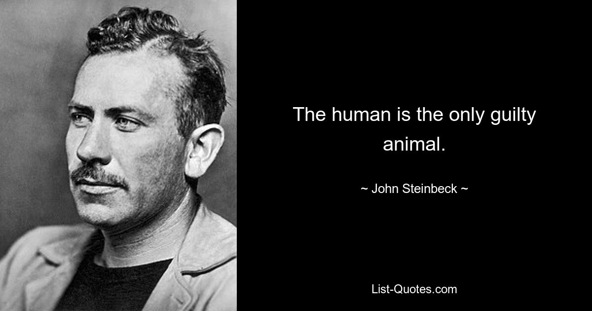 The human is the only guilty animal. — © John Steinbeck