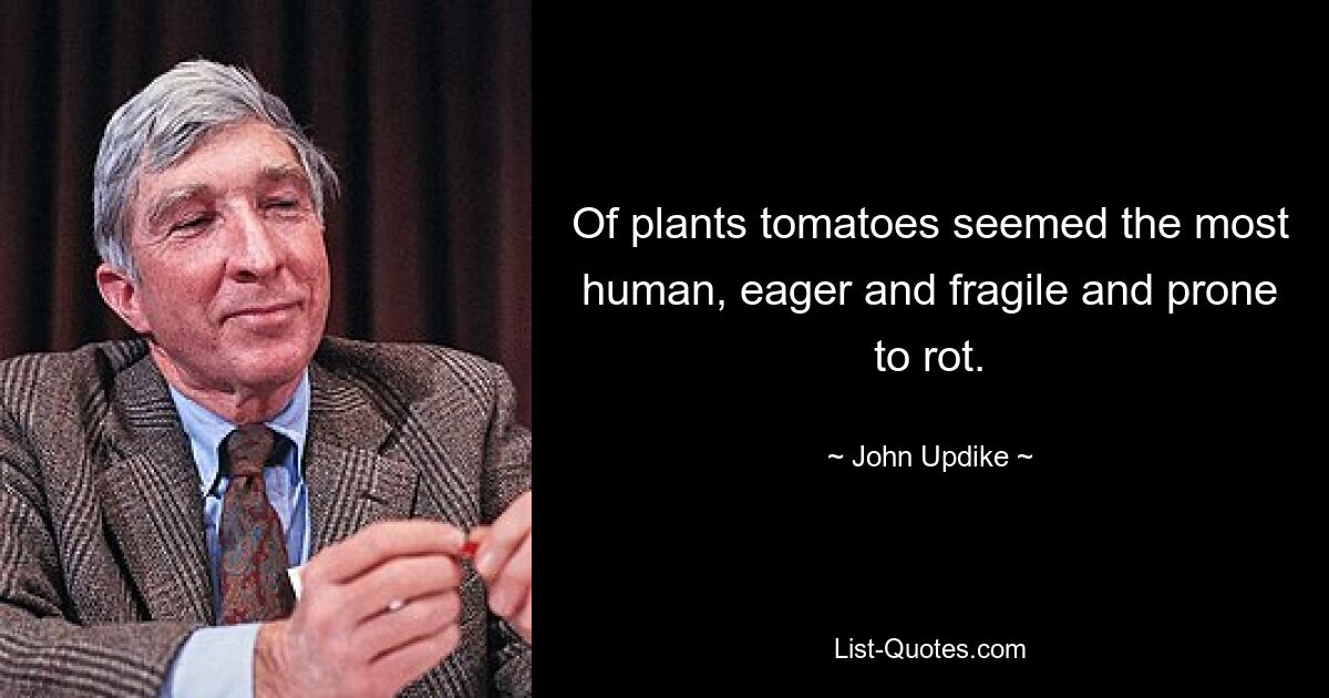 Of plants tomatoes seemed the most human, eager and fragile and prone to rot. — © John Updike