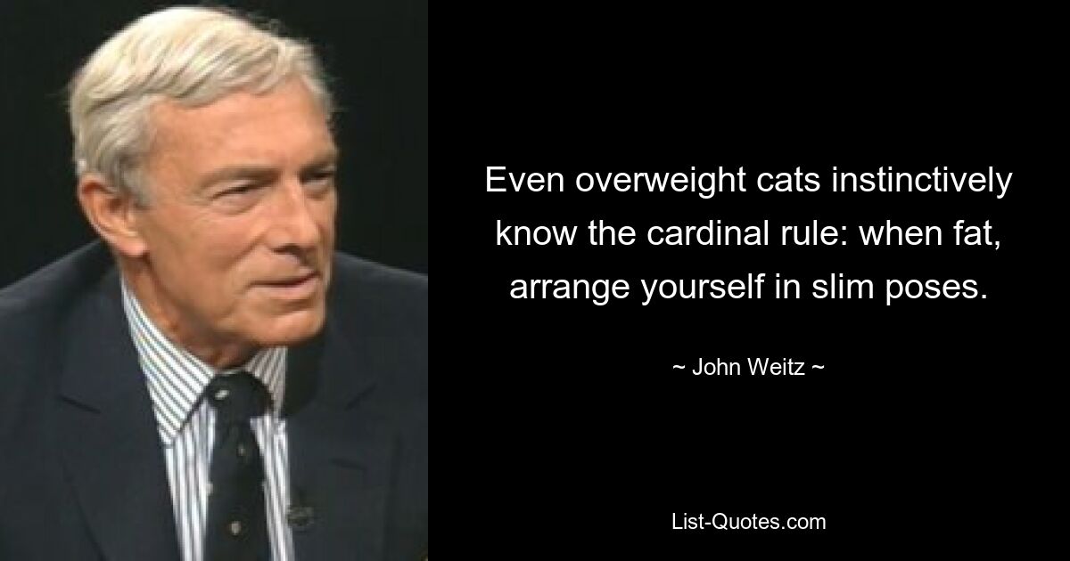 Even overweight cats instinctively know the cardinal rule: when fat, arrange yourself in slim poses. — © John Weitz