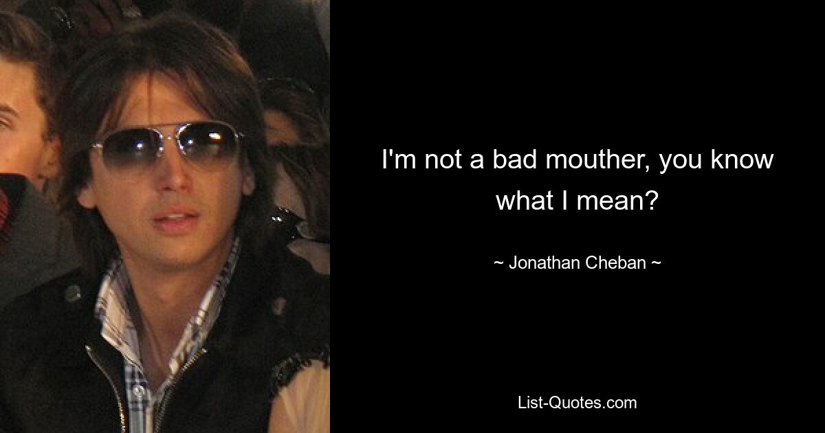 I'm not a bad mouther, you know what I mean? — © Jonathan Cheban