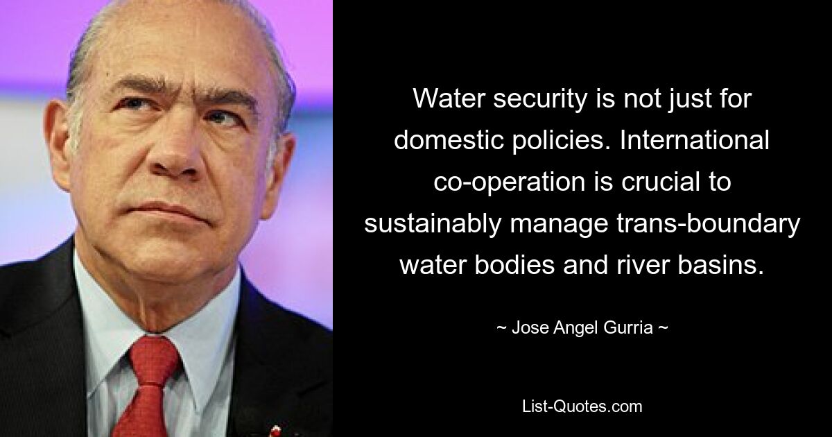 Water security is not just for domestic policies. International co-operation is crucial to sustainably manage trans-boundary water bodies and river basins. — © Jose Angel Gurria