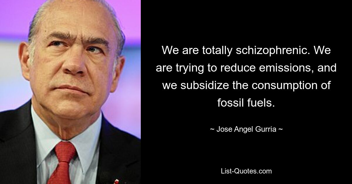 We are totally schizophrenic. We are trying to reduce emissions, and we subsidize the consumption of fossil fuels. — © Jose Angel Gurria